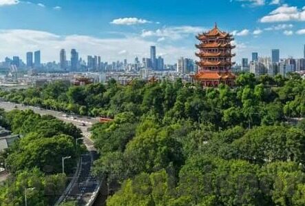 阿根廷比利时世界杯-阿根廷与比利时在世界杯的较量，激情与战术的碰撞