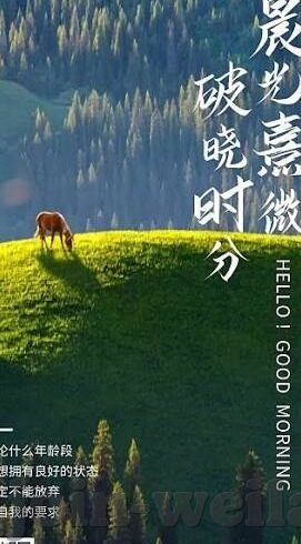 特拉维夫足球今天比分-特拉维夫足球风云，今天比分背后的激情与悬念