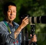 足球捷报比分网-足球捷报比分网，球迷的实时战场，数据背后的热血与激情